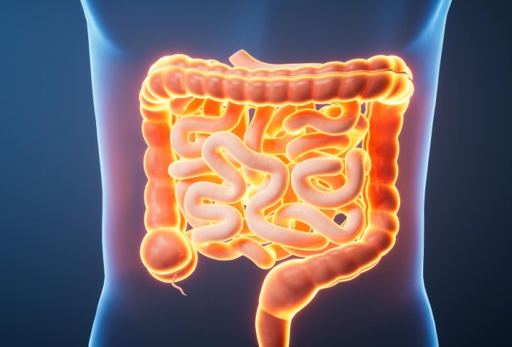 EN-B-GA-CN2301-V46_20260211_122651_v1