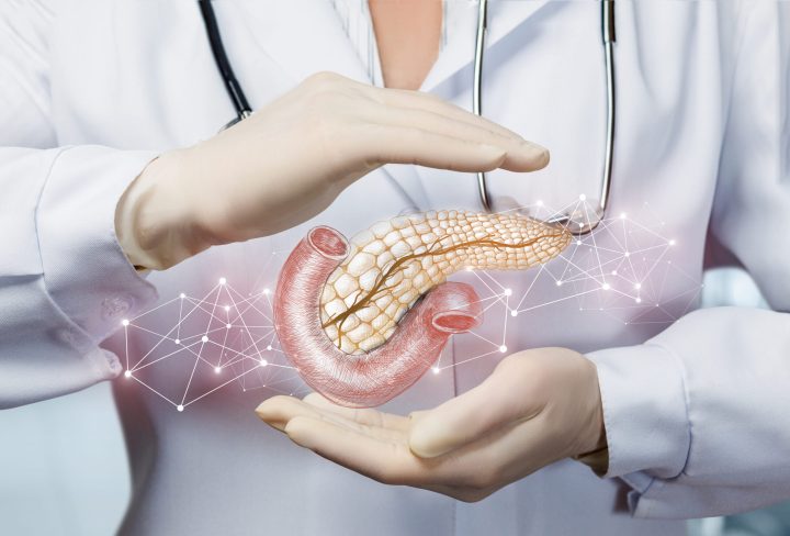 The concept of protection of the pancreas of the patient.